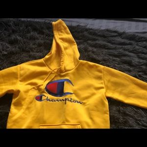 Champion sweat suit pants and hoodie